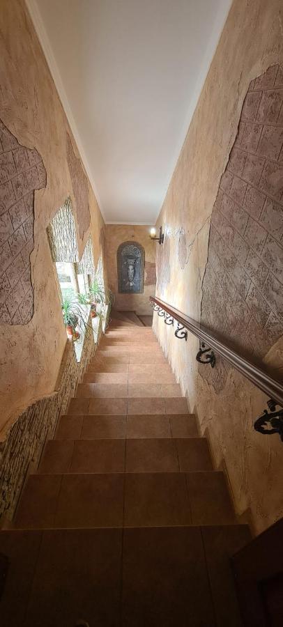 Villa Turistica Oasis カグル エクステリア 写真